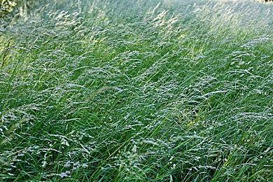 索尼伦敦工作室正为PS5打造即时服务游戏 幻想题材